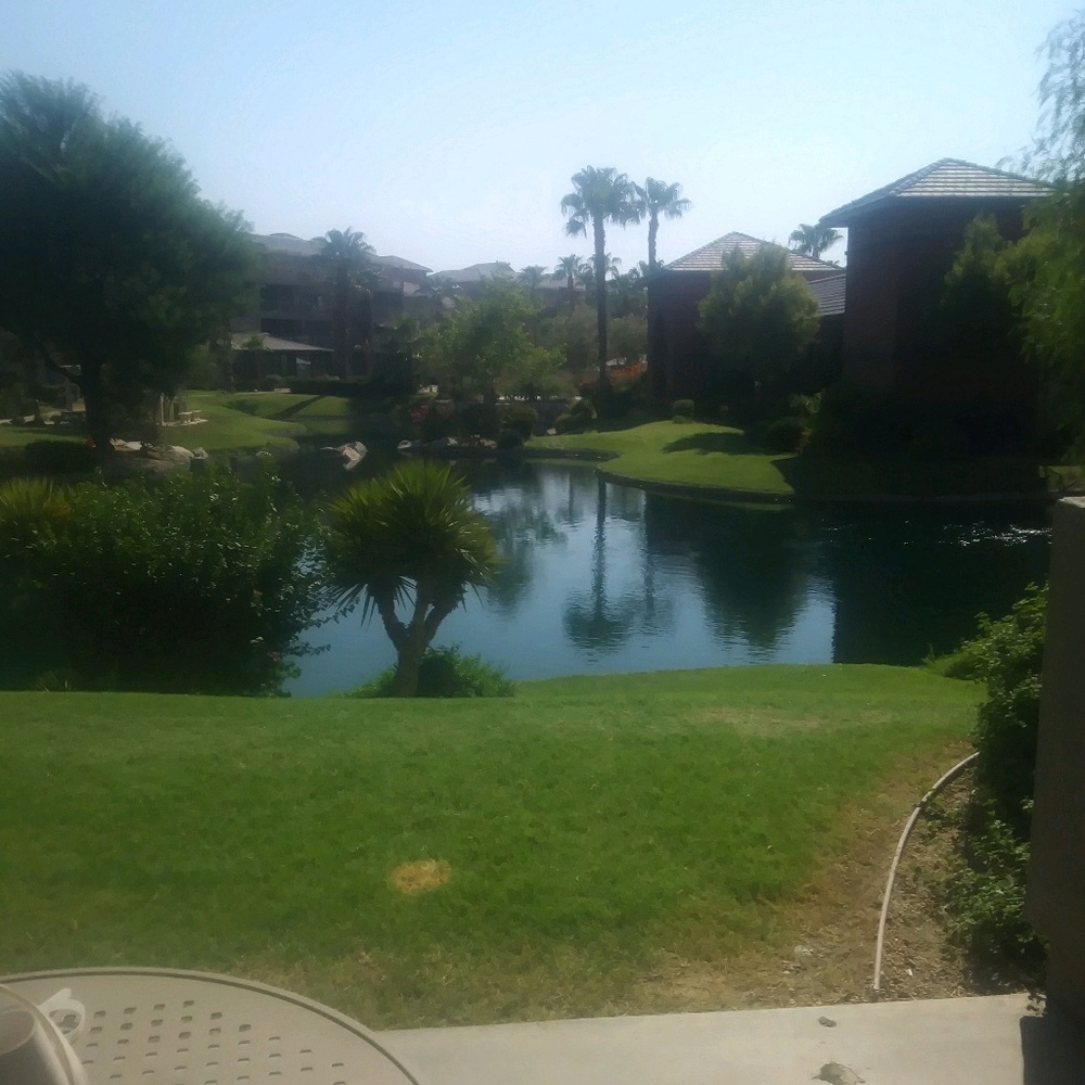 Meet your Posher, Rosa